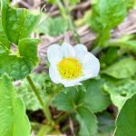Thumbnail of post image 002