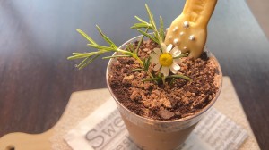 保養所 むつみ荘 プラントシェイク