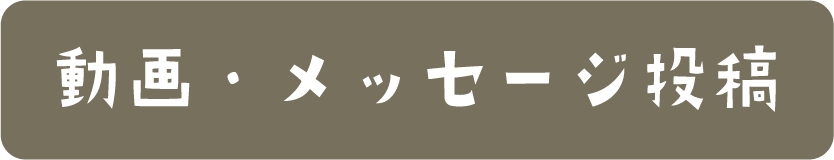 動画・メッセージ投稿