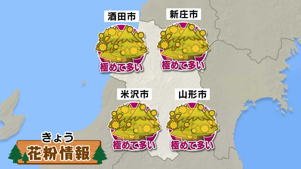 花粉情報ーきょう